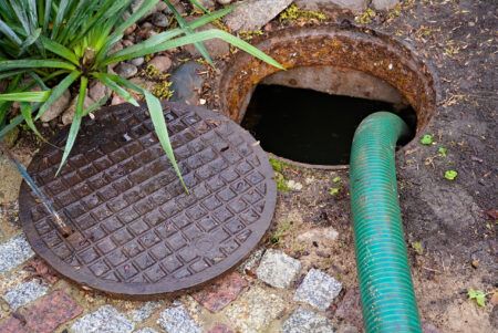 Why is My Sewer Backing Up?
