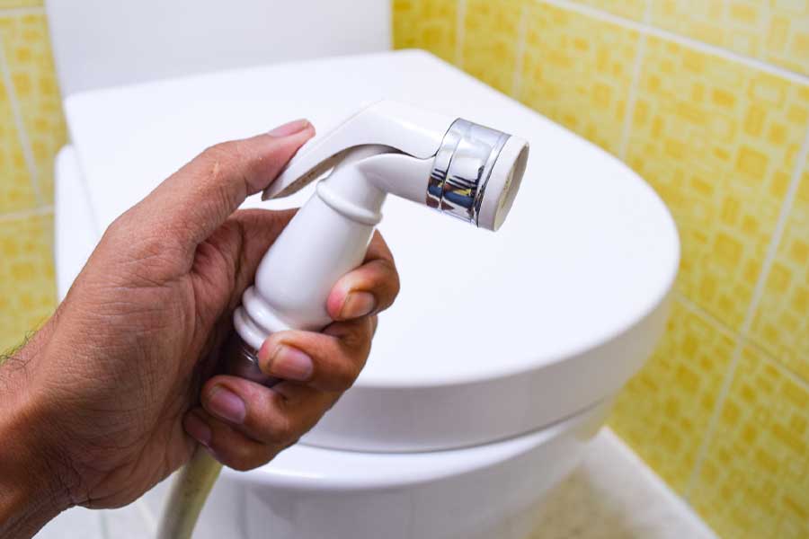 Bidet Repair & Replacement in Sarasota, FL