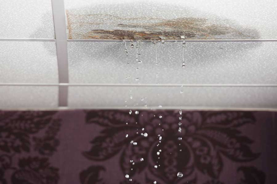 Leak Repair & Detection Services in Sarasota, FL