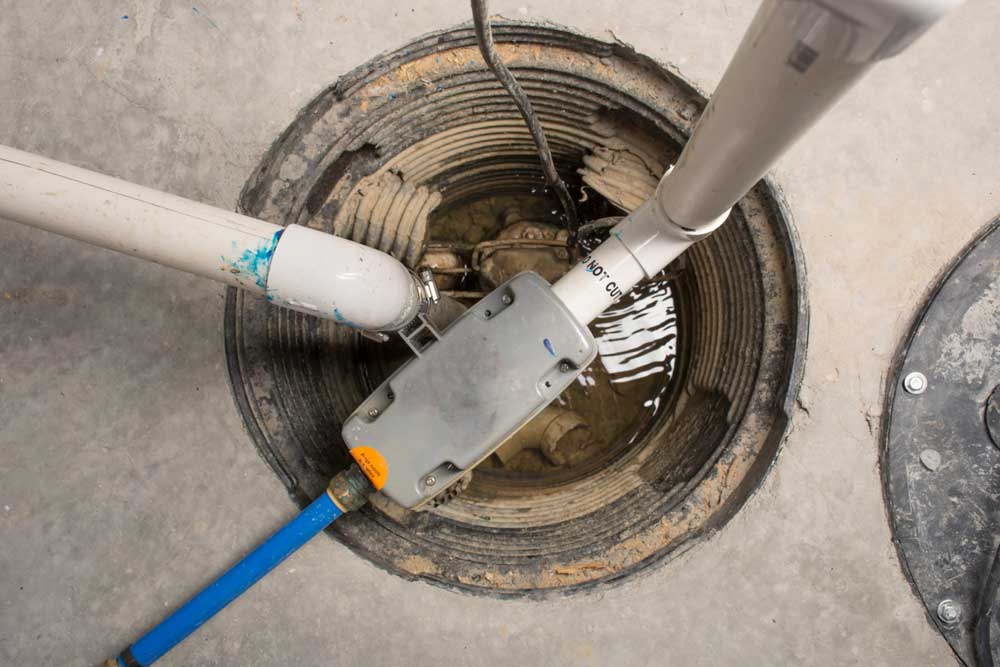 Professional Sump Pump Services in Sarasota, FL