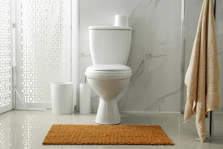 Modern Toilet in Bright Bathroom