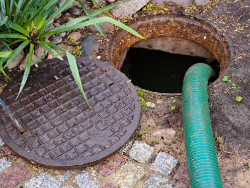 Why is My Sewer Backing Up?